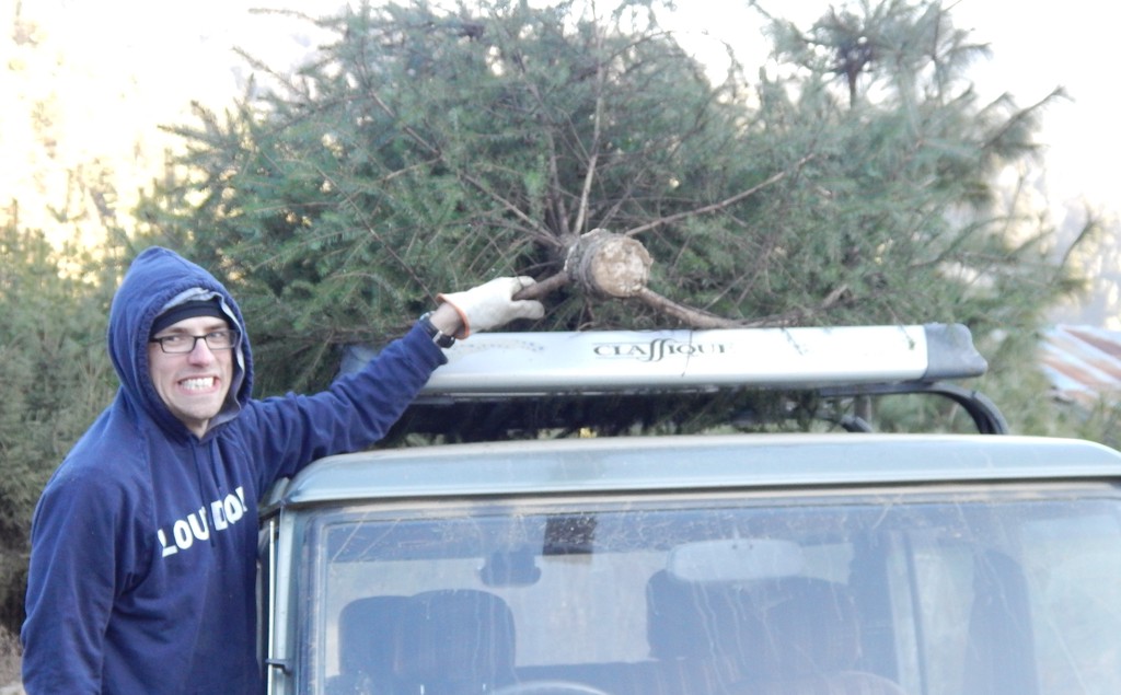 Me holding a Christmas tree to a roof